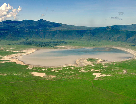 ngoro